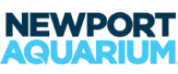 Newport Aquarium